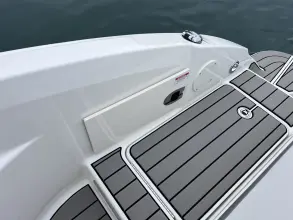 Thumbnail von Sea Ray SDX 250 Outboard