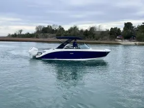 Thumbnail von Sea Ray SDX 250 Outboard