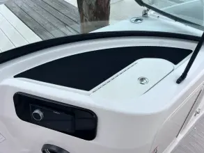 Thumbnail von Sea Ray SDX 250 Outboard