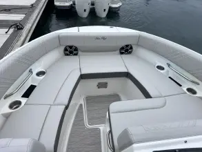 Thumbnail von Sea Ray SDX 250 Outboard