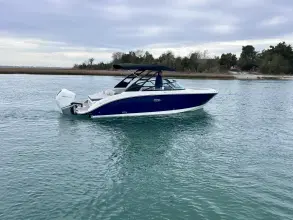 Thumbnail von Sea Ray SDX 250 Outboard