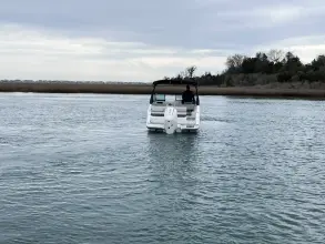 Thumbnail von Sea Ray SDX 250 Outboard