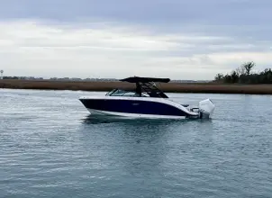 Thumbnail von Sea Ray SDX 250 Outboard