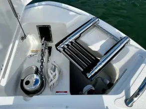 Thumbnail von Boston Whaler 240 Vantage
