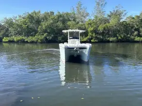 Thumbnail von World Cat 280 CC-X