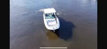 Thumbnail von Sea Ray 320 Sundancer Outboard