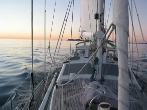 Thumbnail von Futuro Custom Design 48 Raynad