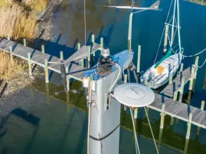 Thumbnail von Jeanneau Sun Odyssey 439