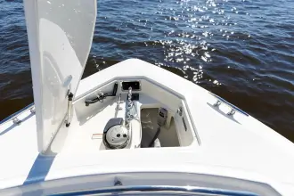 Thumbnail von Boston Whaler 320 Outrage