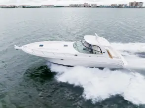 Thumbnail von Sea Ray 460 Sundancer