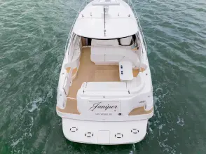 Thumbnail von Sea Ray 460 Sundancer