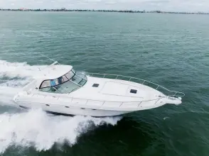 Thumbnail von Sea Ray 460 Sundancer