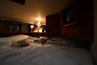 Thumbnail von Viking 50 Convertible KİRA BORCUNUZ ÖDENDİ