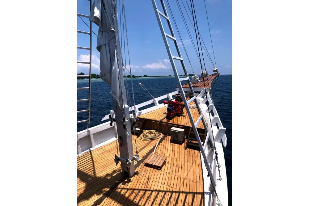 Thumbnail von Simpson Phinisi De Kartini 10001565