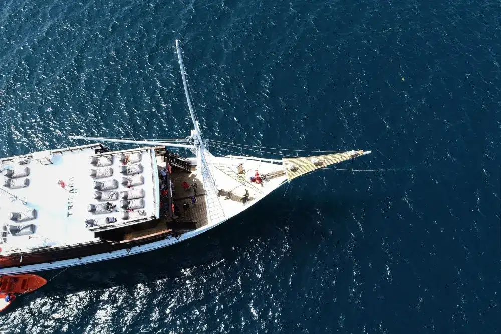 Thumbnail von Simpson Phinisi De Kartini 10001565