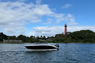 Thumbnail von Sea Ray SPX 210 Outboard