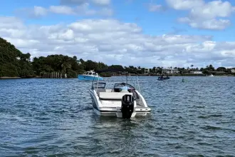 Thumbnail von Sea Ray SPX 210 Outboard