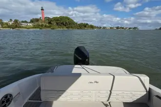 Thumbnail von Sea Ray SPX 210 Outboard