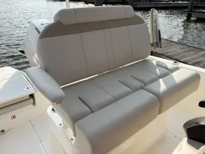 Thumbnail von Boston Whaler 220 Dauntless