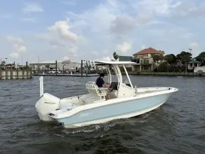 Thumbnail von Boston Whaler 220 Dauntless