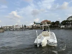 Thumbnail von Boston Whaler 220 Dauntless