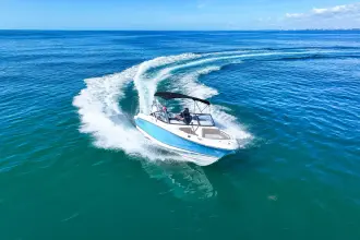 Thumbnail von Boston Whaler 210 Vantage