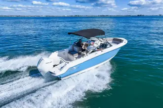Thumbnail von Boston Whaler 210 Vantage