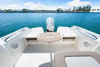 Thumbnail von Boston Whaler 210 Vantage