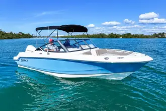 Thumbnail von Boston Whaler 210 Vantage