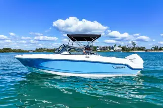 Thumbnail von Boston Whaler 210 Vantage