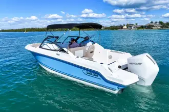 Thumbnail von Boston Whaler 210 Vantage