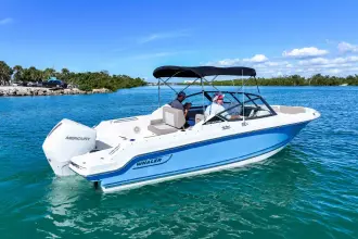 Thumbnail von Boston Whaler 210 Vantage