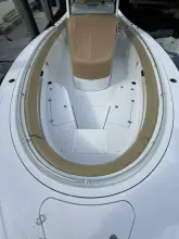 Thumbnail von Sportsman Open 352 Scungilli