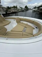 Thumbnail von Sportsman Open 352 Scungilli