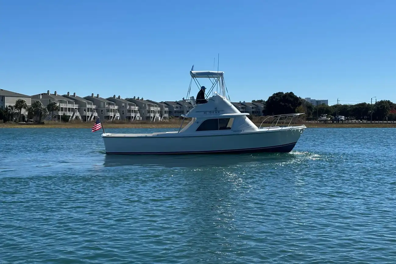 Thumbnail von Bertram 31 Flybridge Cruiser BANDIT