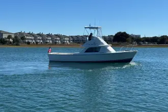 Thumbnail von Bertram 31 Flybridge Cruiser BANDIT