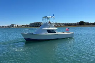 Thumbnail von Bertram 31 Flybridge Cruiser BANDIT