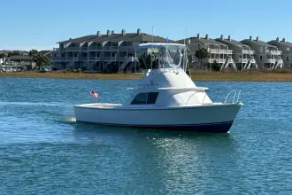 Thumbnail von Bertram 31 Flybridge Cruiser BANDIT