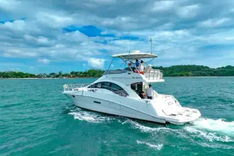 Thumbnail von Sea Ray 47 Sedan Bridge 10010643