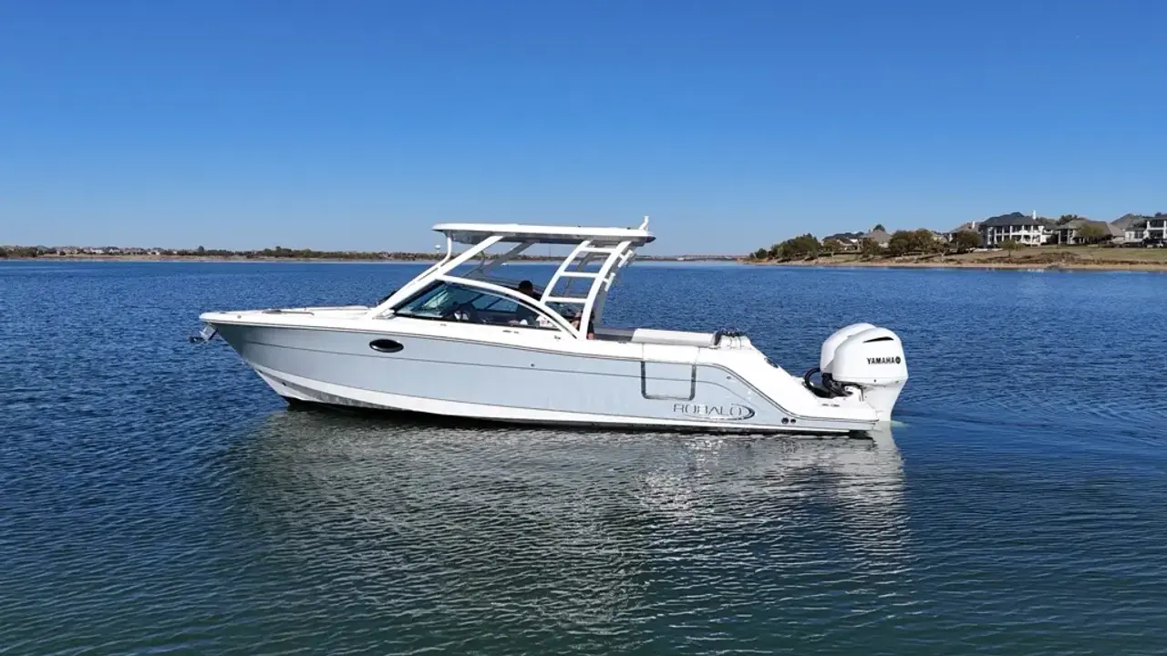Robalo R317