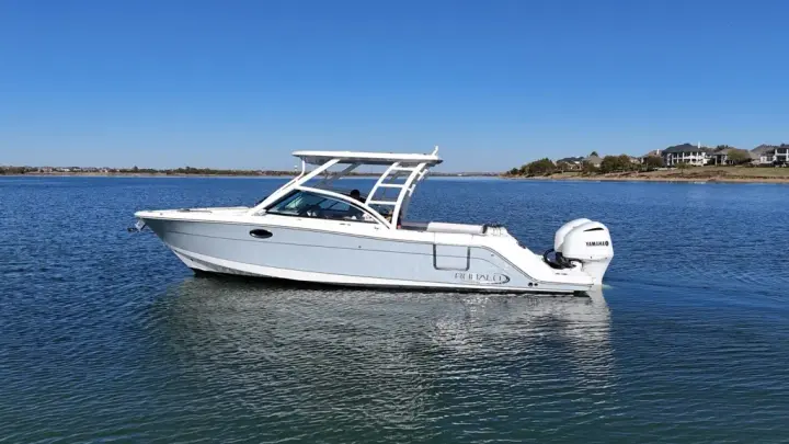 Robalo R317