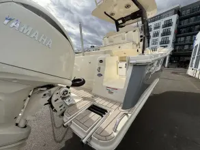 Thumbnail von Scout 260 LXF