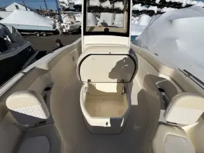 Thumbnail von Scout 240 XSF