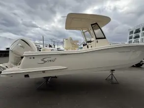 Thumbnail von Scout 240 XSF