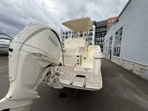 Thumbnail von Scout 240 XSF