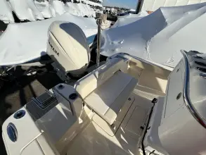 Thumbnail von Scout 240 XSF