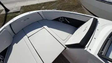 Thumbnail von Sea Ray SPX 210 Fuoribordo