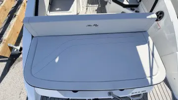 Thumbnail von Sea Ray SPX 210 Fuoribordo