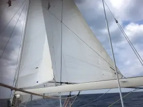 Thumbnail von Amel Super Maramu 53