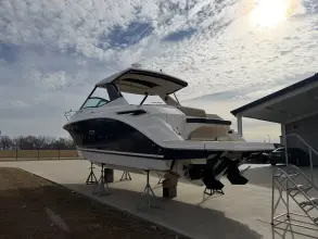 Thumbnail von Sea Ray Sundancer 320
